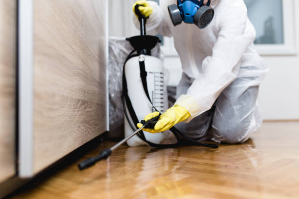 Best Local Pest Control Services  in Glenwood Landing, NY
