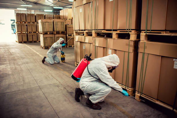 Best Pest Inspection Near Me  in Glenwood Landing, NY