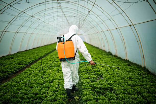 Best Pest Control Near Me  in Glenwood Landing, NY