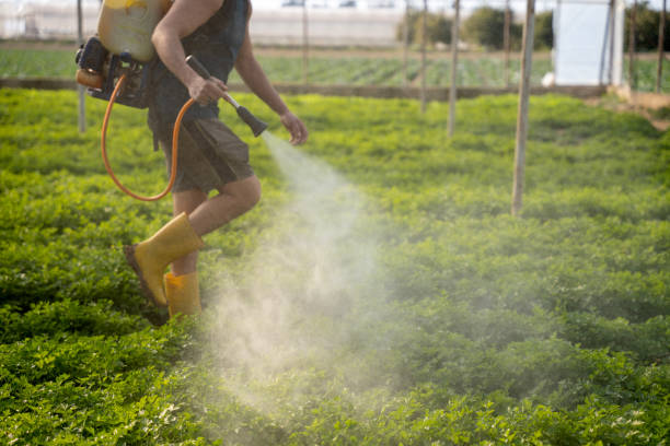 Best Best Pest Control Companies  in Glenwood Landing, NY