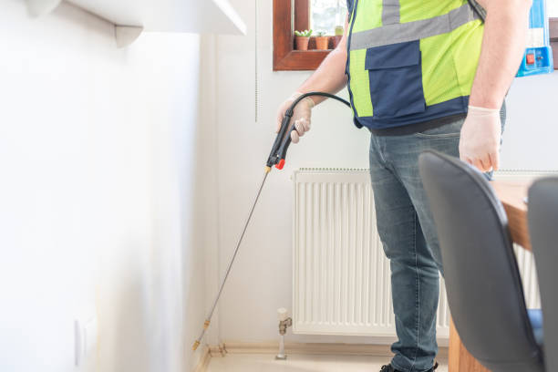 Wasp Removal Services in Glenwood Landing, NY