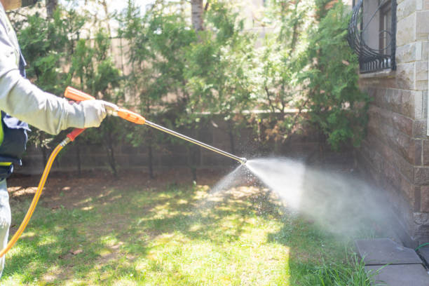 Spider Control Near Me in Glenwood Landing, NY